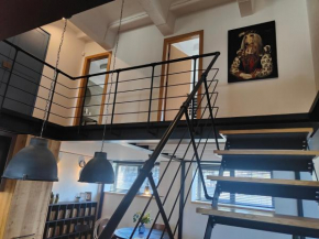 Spacious and Luxury Designer Loft in newly renovated building SOHO LOFTS , Vilnius